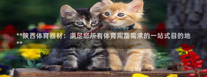 星欧娱乐测速怎么样：**陕西体育器材：满足您所有体育