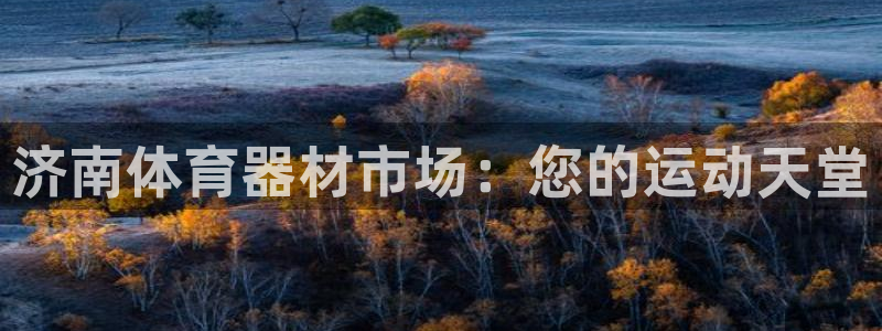 星欧娱乐平台怎么样可靠吗：济南体育器材市场：您的运动