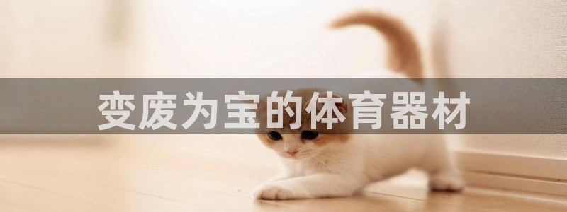 星欧娱乐挂机赚钱是真的吗：变废为宝的体育器材