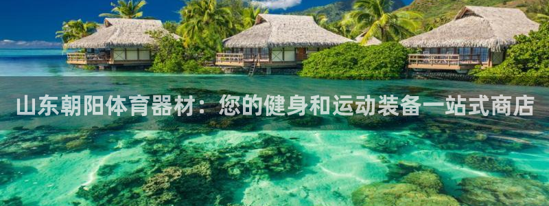 星欧娱乐公司创始人背景故事简介：山东朝阳体育器材：您