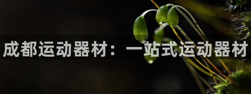 星欧娱乐公司创始人背景故事简介：成都运动器材：一站式