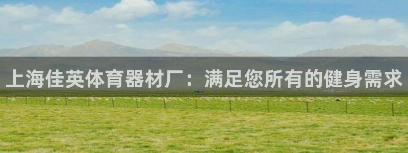 星欧娱乐挂机教程下载：上海佳英体育器材厂：满足您所有