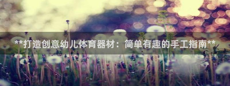 星欧娱乐联最新功能介绍：**打造创意幼儿体育器材：简