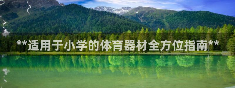 星欧娱乐挂机赚钱是真的吗：**适用于小学的体育器材全