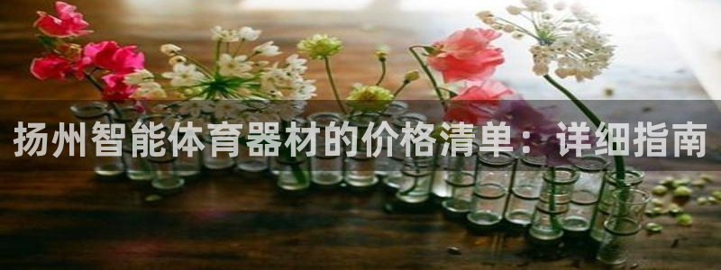 星欧娱乐扣钱步骤详解：扬州智能体育器材的价格清单：详