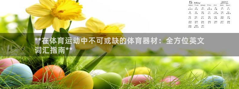 星欧娱乐测速：**在体育运动中不可或缺的体育器材：全