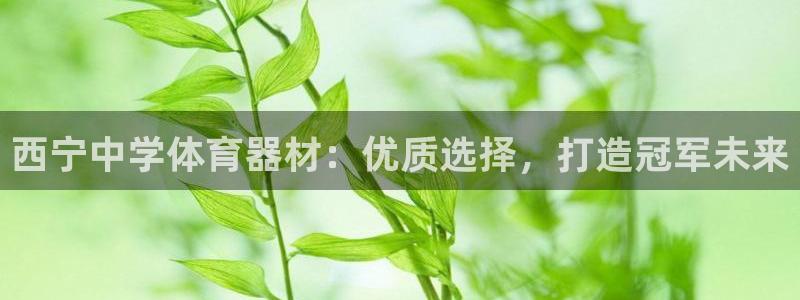 星欧娱乐官网：西宁中学体育器材：优质选择，打造冠军未