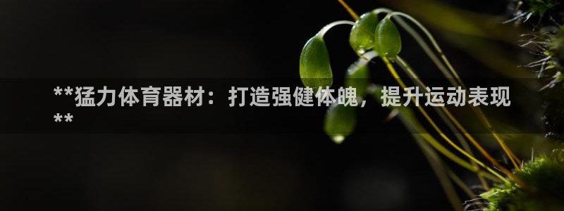星欧娱乐是正规平台吗：**猛力体育器材：打造强健体魄