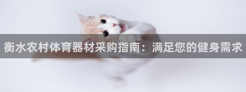 星欧娱乐下载最新版本更新内容：衡水农村体育器材采购指