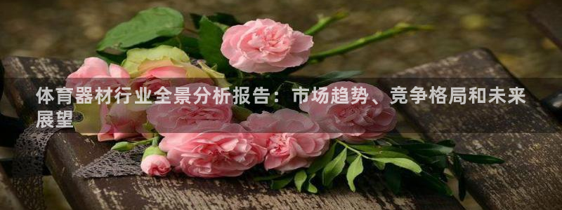 星欧娱乐扣钱步骤详解：体育器材行业全景分析报告：市场