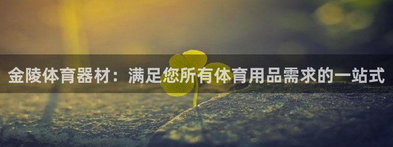 星奥娱乐集团股份有限公司官网：金陵体育器材：满足您所