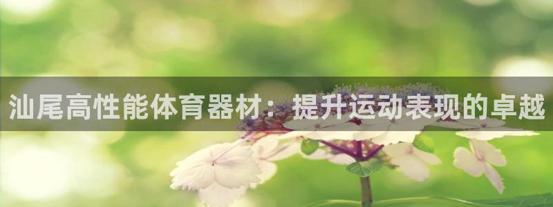 星欧娱乐的创始人背景故事是什么：汕尾高性能体育器材：