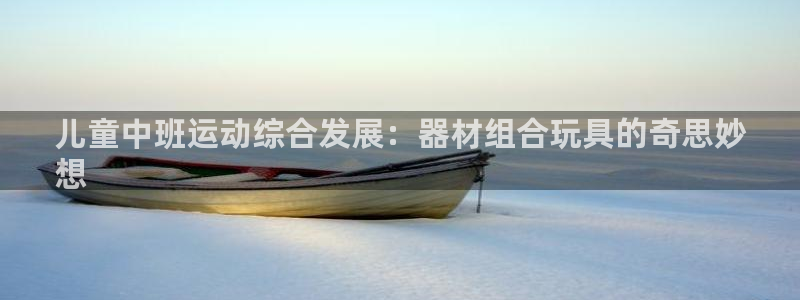 星欧娱乐扣款：儿童中班运动综合发展：器材组合玩具的奇