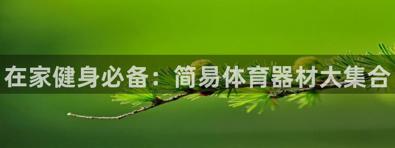 星欧娱乐法最新进展：在家健身必备：简易体育器材大集合