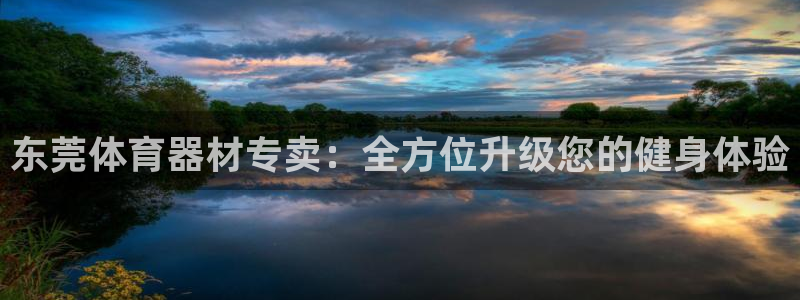 星娱乐文化传媒：东莞体育器材专卖：全方位升级您的健身