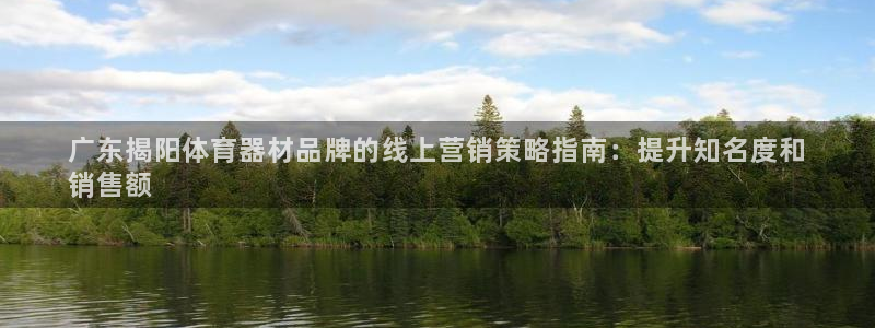 星奥娱乐集团官网：广东揭阳体育器材品牌的线上营销策略