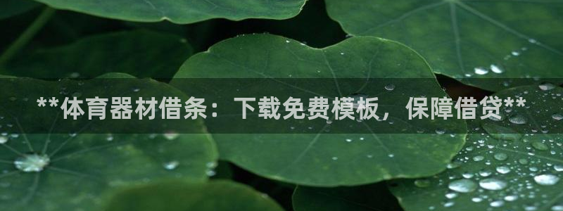 星欧娱乐官网首页下载：**体育器材借条：下载免费模板