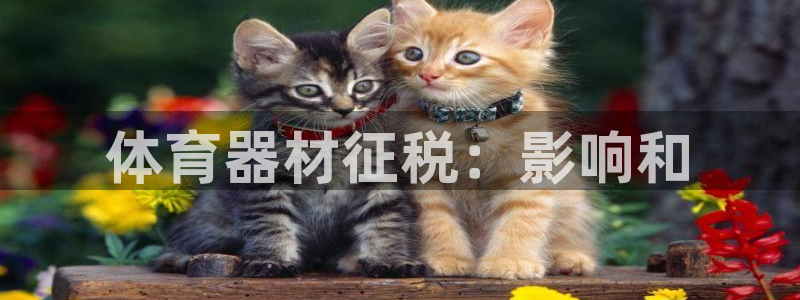 星澳娱乐公司简介：体育器材征税：影响和