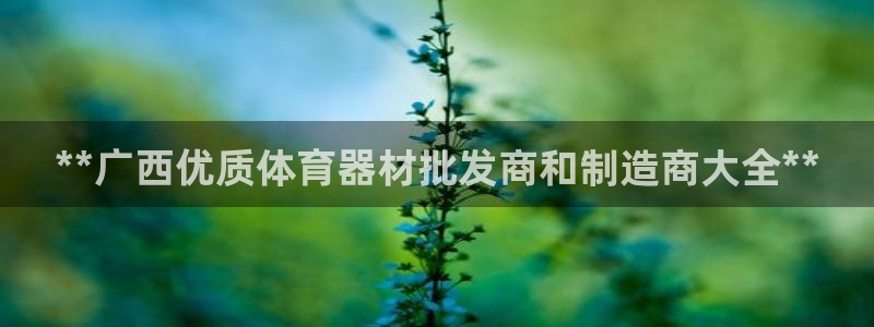 星欧娱乐公司电话号码：**广西优质体育器材批发商和制