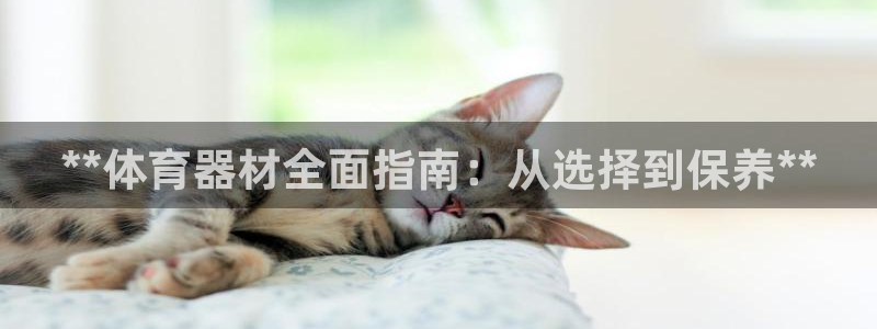 星欧娱乐属于什么档次的网站啊：**体育器材全面指南：