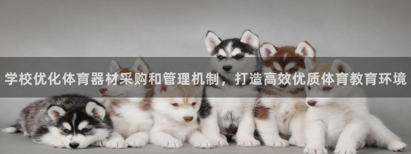 星欧娱乐平台地7O777：学校优化体育器材采购和管理