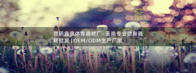 星欧娱乐平台测速线路怎么设置：昆明鑫康体育器材厂- 