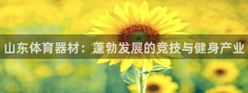 星欧娱乐是正规平台吗安全吗：山东体育器材：蓬勃发展的