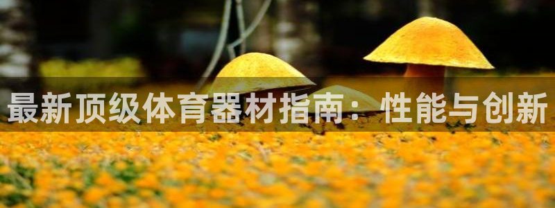 星欧娱乐载711.112使用教程详解：最新顶级体育器