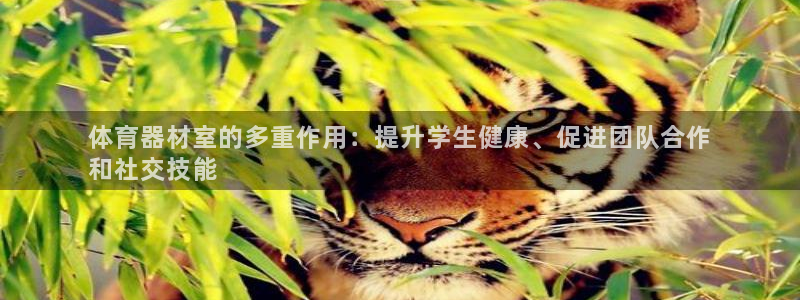 星欧娱乐平台地7O777：体育器材室的多重作用：提升