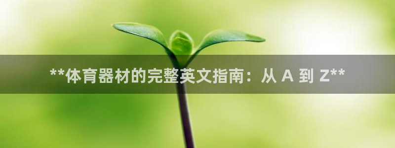 星奥娱乐集团怎么样：**体育器材的完整英文指南：从 