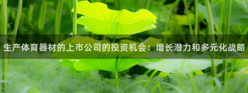 星欧娱乐平台告7O777：生产体育器材的上市公司的投