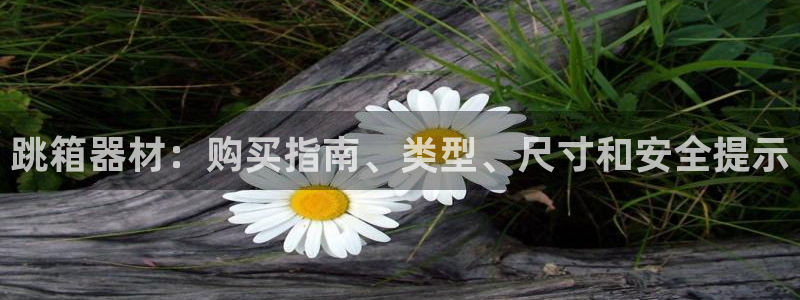 星欧娱乐是正规平台吗：跳箱器材：购买指南、类型、尺寸