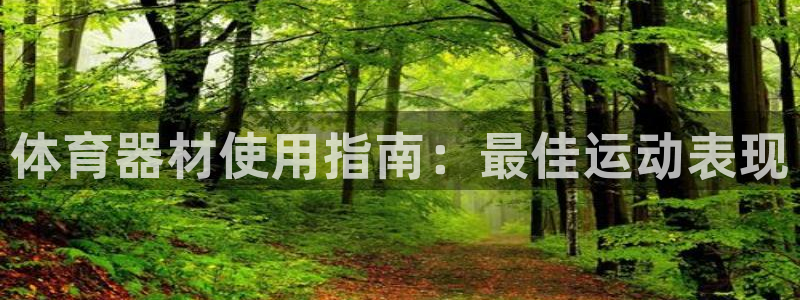 星欧娱乐公司创始人背景故事：体育器材使用指南：最佳运