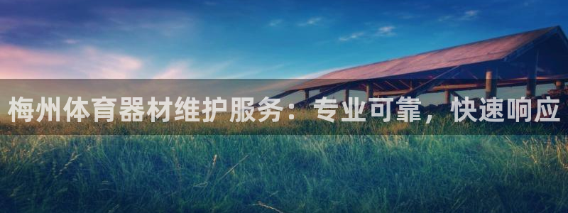 星欧娱乐雀V是什么平台：梅州体育器材维护服务：专业可