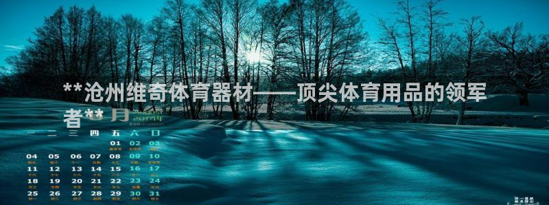 星欧娱乐公司创始人背景故事介绍：**沧州维奇体育器材