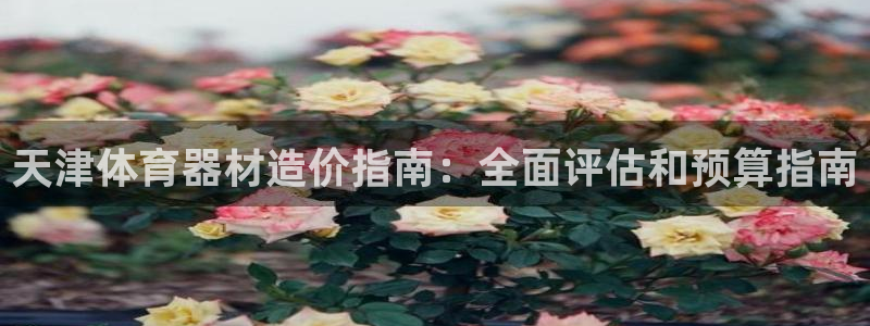 星欧娱乐平台测速线路设置：天津体育器材造价指南：全面