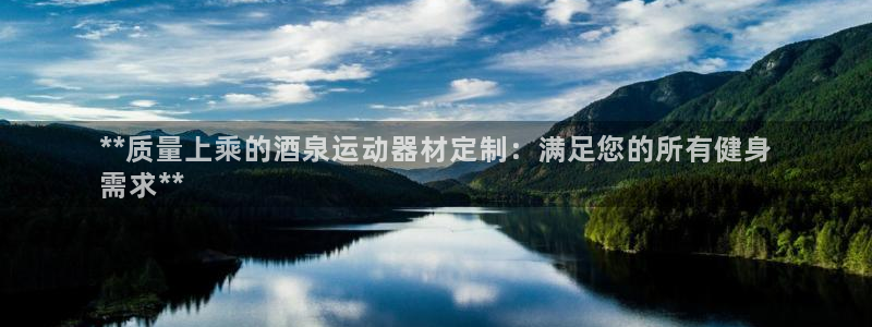 江苏星奥娱乐有限公司报名：**质量上乘的酒泉运动器材