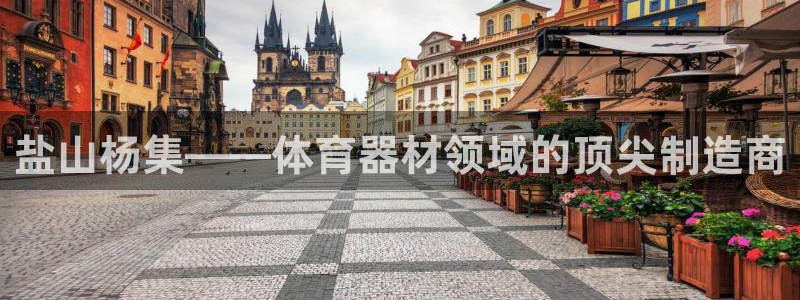 星欧娱乐扣款时间查询方法是什么：盐山杨集——体育器材