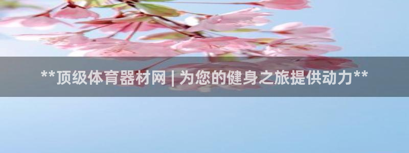 星奥盛典娱乐会所：**顶级体育器材网 | 为您的健身