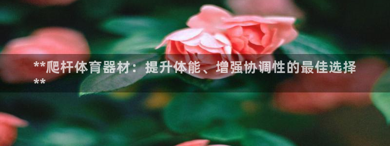 星欧娱乐联最新功能介绍：**爬杆体育器材：提升体能、