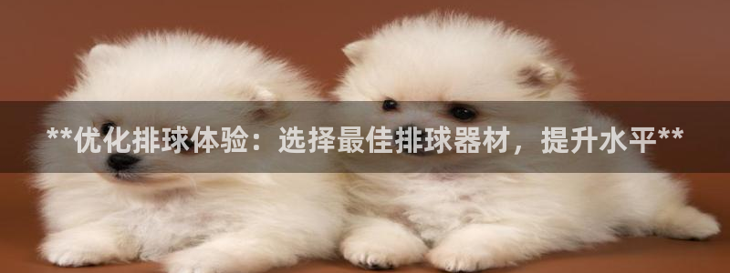 星欧娱乐最建议买的三个游戏账号：**优化排球体验：选