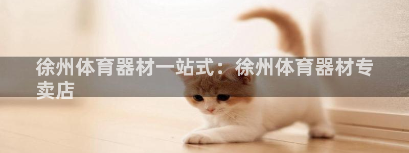 星欧娱乐载711.112使用教程详解：徐州体育器材一