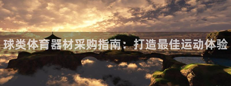 星欧娱乐总代.直开.中国：球类体育器材采购指南：打造