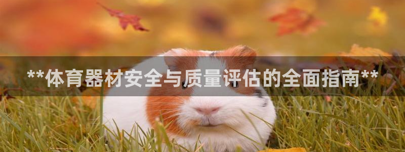 星奥娱乐怎么样：**体育器材安全与质量评估的全面指南