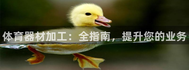 星欧娱乐雀V是什么平台：体育器材加工：全指南，提升您
