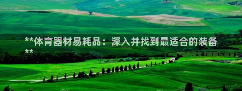 星欧娱乐属于什么档次的网站啊：**体育器材易耗品：深
