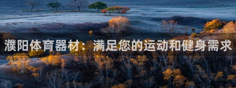 星欧娱乐扣款时间查询方法怎么查：濮阳体育器材：满足您