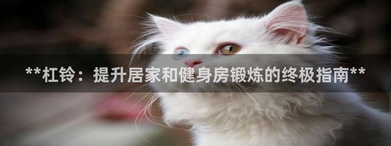 星欧娱乐扣款6II2是什么情况