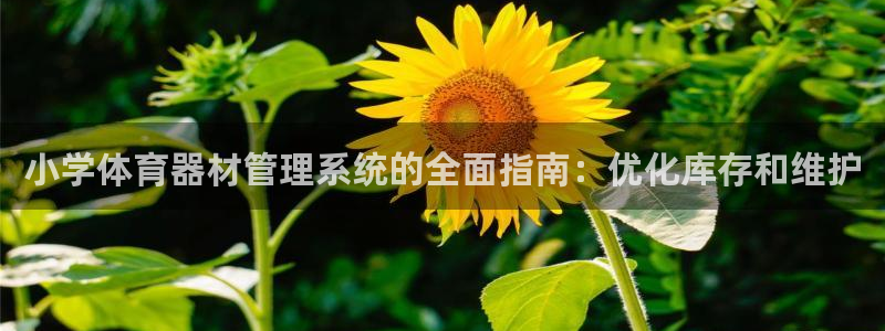 星奥娱乐集团股份有限公司官网：小学体育器材管理系统的