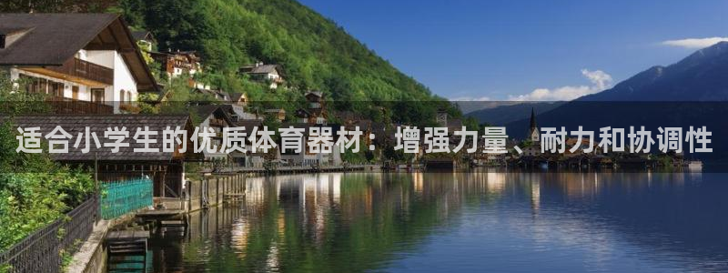 星娱乐文化传媒有限公司：适合小学生的优质体育器材：增